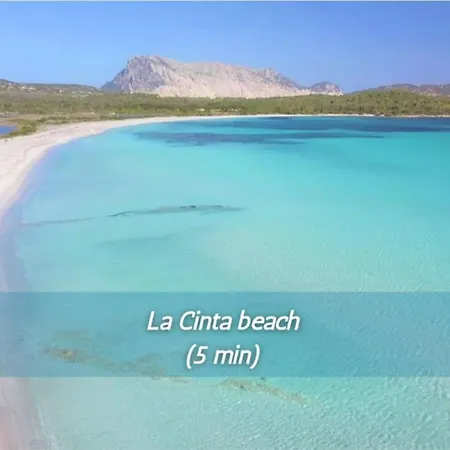 La Casa Sul Mare - Cala D'ambra Hébergement de vacances *